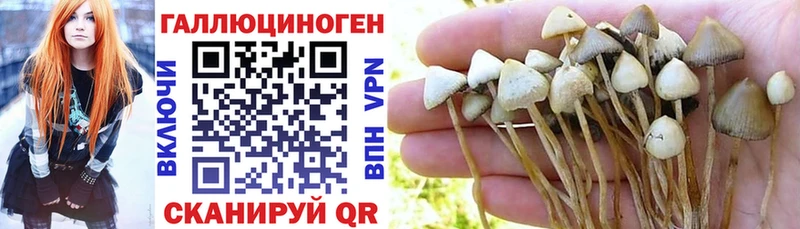 продажа наркотиков Лебедянь Галлюциногенные грибы Psilocybine cubensis